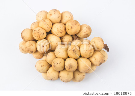 Bunch of Longkong 19018975