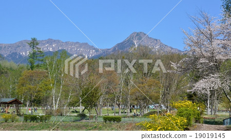 Yatsugatake的景色 - 從Yatsugatake自然文化花園 19019145