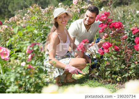 Family spends their summer vacation in the country 19020734