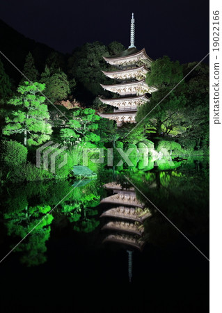 Yamaguchi Rurikoji Temple 19022166