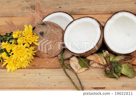 white coconut on wood background 19022811