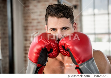 Portrait of muscular man wearing boxing gloves 19023839