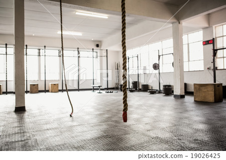 Exercise ropes hanging and equipment Exercise ropes hanging and equipment 19026425