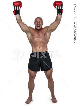 Portrait of winning boxer with arms raised 19027471