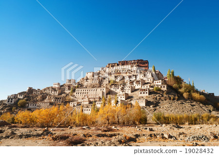 Thiksey Gompa Thiksey Gompa 19028432