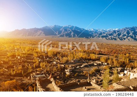 Small village at Leh 19028448