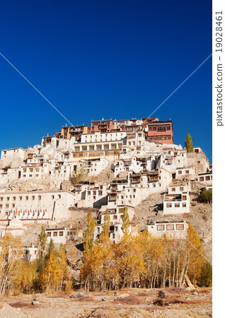 Thikse Gompa 19028461