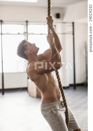 Side view of muscular man doing rope climbing Side view of muscular man doing rope climbing 19029282