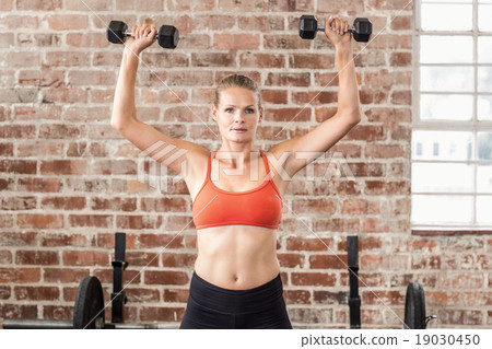 Fit woman exercising with dumbbells Fit woman exercising with dumbbells 19030450