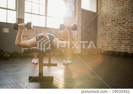 Muscular man lifting dumbbells while lying on bench Muscular man lifting dumbbells while lying on bench 19030482