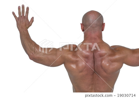 Rear view of bodybuilder with arms outstretched Rear view of bodybuilder with arms outstretched 19030714