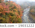 Konjo Gorge colorful leaves 19031222