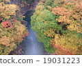 Konjo Gorge colorful leaves 19031223