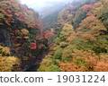 Konjo Gorge colorful leaves 19031224