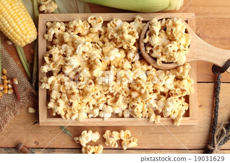 Popcorn and yellow dry corn grain with fresh corn. Popcorn and yellow dry corn grain with fresh corn. 19031629