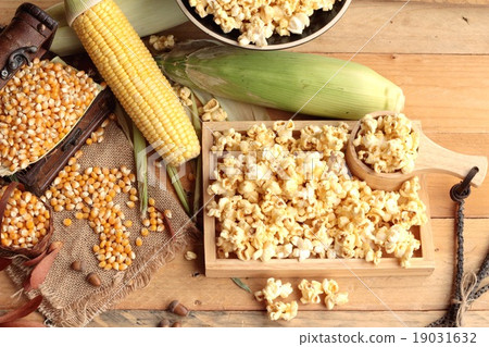 Popcorn and yellow dry corn grain with fresh corn. Popcorn and yellow dry corn grain with fresh corn. 19031632