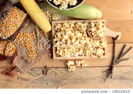 Popcorn and yellow dry corn grain with fresh corn. Popcorn and yellow dry corn grain with fresh corn. 19031633
