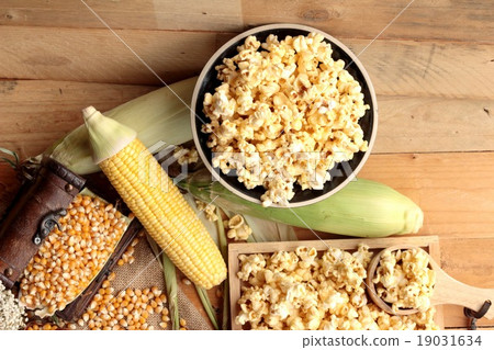 Popcorn and yellow dry corn grain with fresh corn. Popcorn and yellow dry corn grain with fresh corn. 19031634