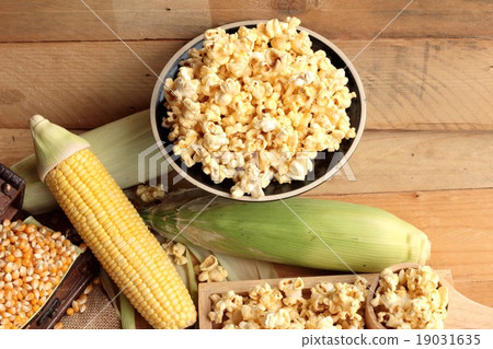 Popcorn and yellow dry corn grain with fresh corn. Popcorn and yellow dry corn grain with fresh corn. 19031635