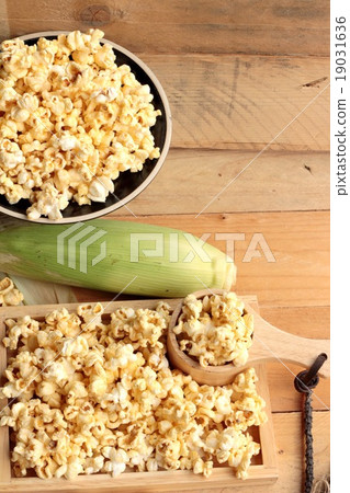 Popcorn and yellow dry corn grain with fresh corn. Popcorn and yellow dry corn grain with fresh corn. 19031636