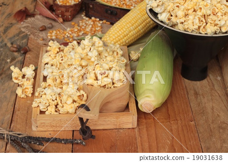 Popcorn and yellow dry corn grain with fresh corn. Popcorn and yellow dry corn grain with fresh corn. 19031638
