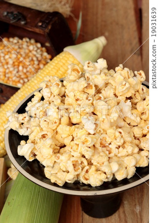 Popcorn and yellow dry corn grain with fresh corn. Popcorn and yellow dry corn grain with fresh corn. 19031639