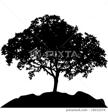 tree silhouette vector 19032074