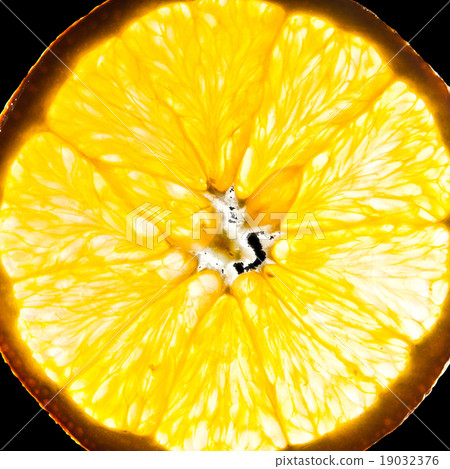 Close-up of orange slice 19032376