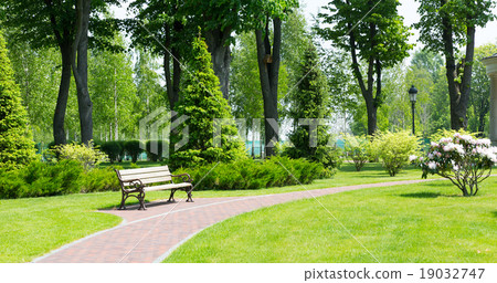 Pavement in the park Pavement in the park 19032747