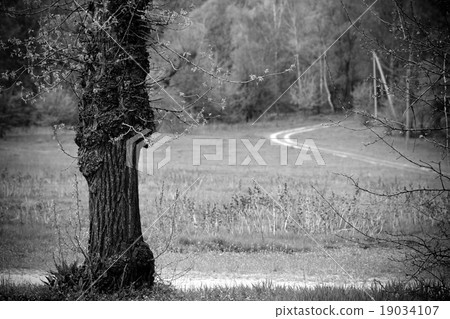 Dramatic rural scene 19034107