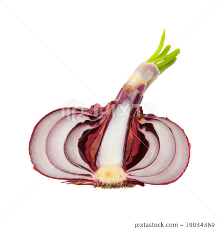 Slice of red onion 19034369