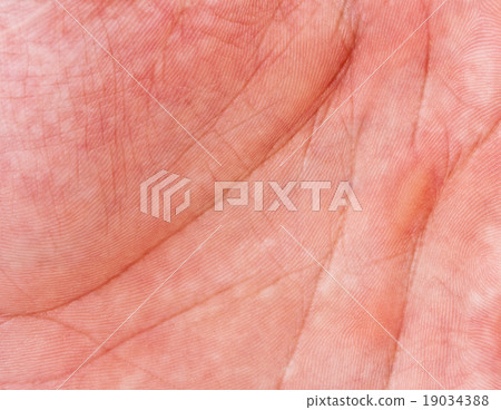 Human hand 19034388