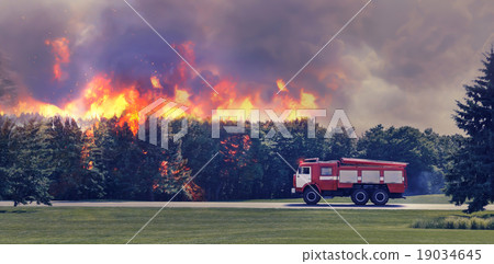 Fire in the forest 19034645