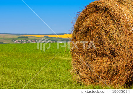 Big bale of straw 19035054