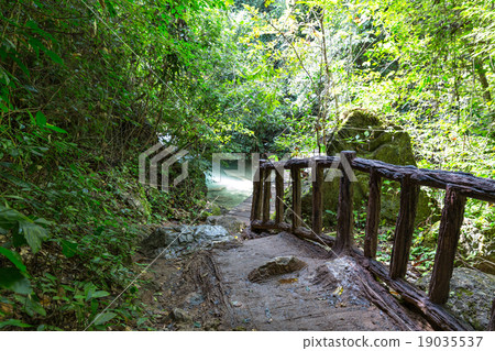 Old bridge tropical 19035537