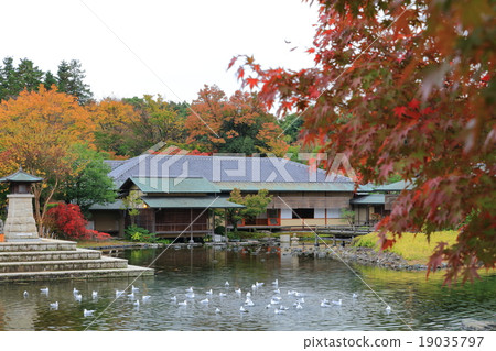 天鵝花園 19035797