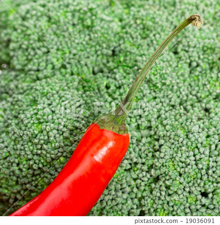 Red pepper Red pepper 19036091