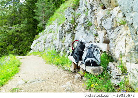 Mountain and green landscape of Montenegro 19036678
