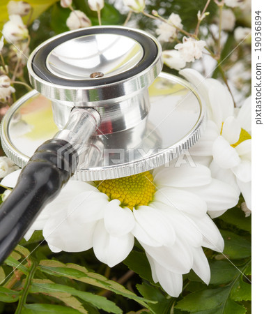 Examining flower by stethoscope Examining flower by stethoscope 19036894