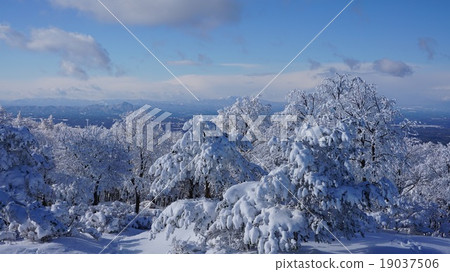 雪山雪山 19037506