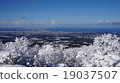 斯諾伊風景視圖 19037507