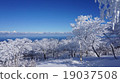 Snowscape藍天 19037508