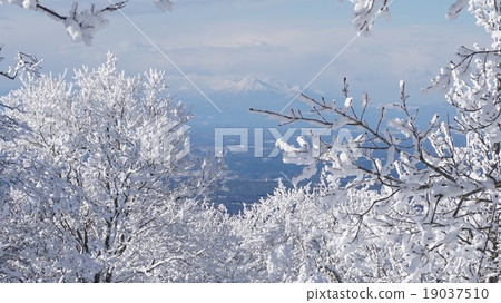 雪景Hakkodayama 19037510