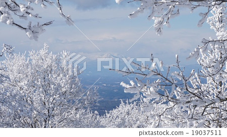 雪景Hakkodayama 19037511