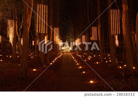 輕井澤聖誕節照明 19038333