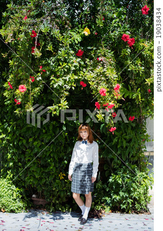 女學生肖像 女學生肖像 19038434