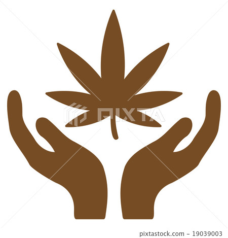 Cannabis Care Icon 19039003