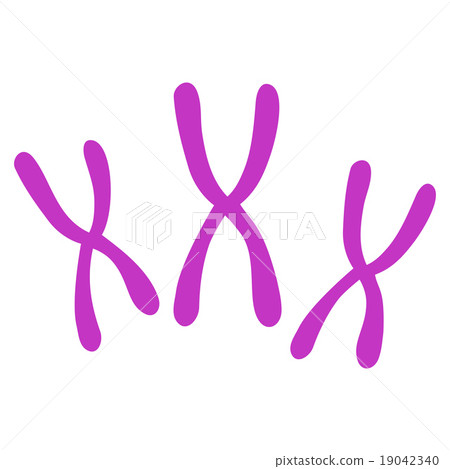 Chromosomes Icon Chromosomes Icon 19042340