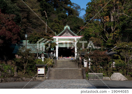 鎌倉神社Shichigosan 19044085