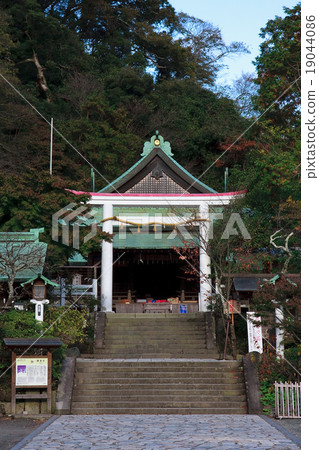 Kamakura Shrine Shichigosan 19044086